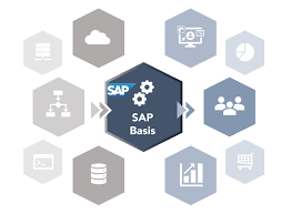 2 sap basis